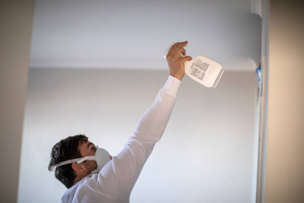 Best Bathroom Mold Remediation in Artesia, CA